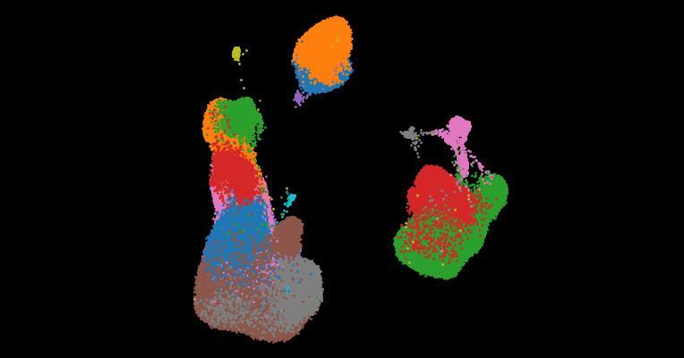 A single-cell cytokine dictionary of human peripheral blood