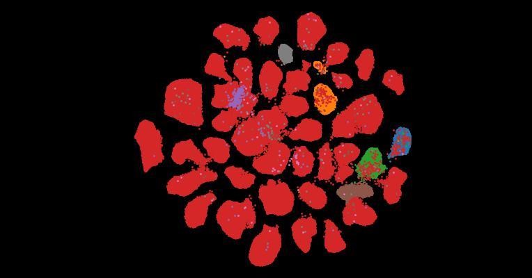Tahoe-100M: A Giga-Scale Single-Cell Perturbation Atlas for Context-Dependent Gene Function and Cellular Modeling