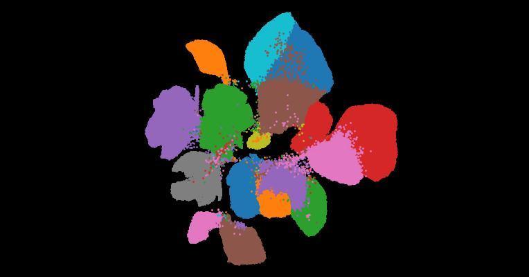 Analysis of individual patient pathway coordination in a cross-species single-cell kidney atlas