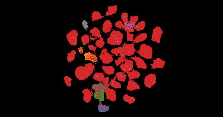 Tahoe-100M: A Giga-Scale Single-Cell Perturbation Atlas for Context-Dependent Gene Function and Cellular Modeling