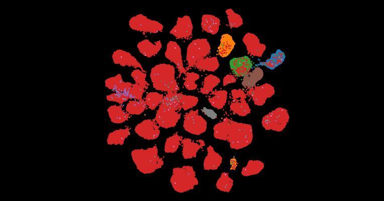 Tahoe-100M: A Giga-Scale Single-Cell Perturbation Atlas for Context-Dependent Gene Function and Cellular Modeling