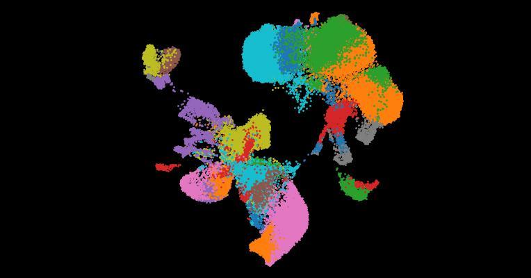 Automatic cell-type harmonization and integration across Human Cell Atlas datasets