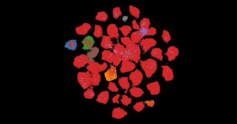 Tahoe-100M: A Giga-Scale Single-Cell Perturbation Atlas for Context-Dependent Gene Function and Cellular Modeling