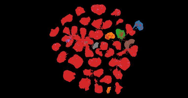 Tahoe-100M: A Giga-Scale Single-Cell Perturbation Atlas for Context-Dependent Gene Function and Cellular Modeling