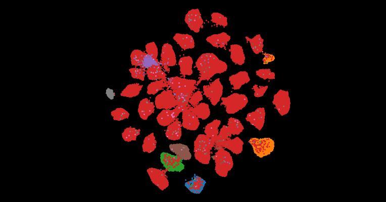 Tahoe-100M: A Giga-Scale Single-Cell Perturbation Atlas for Context-Dependent Gene Function and Cellular Modeling