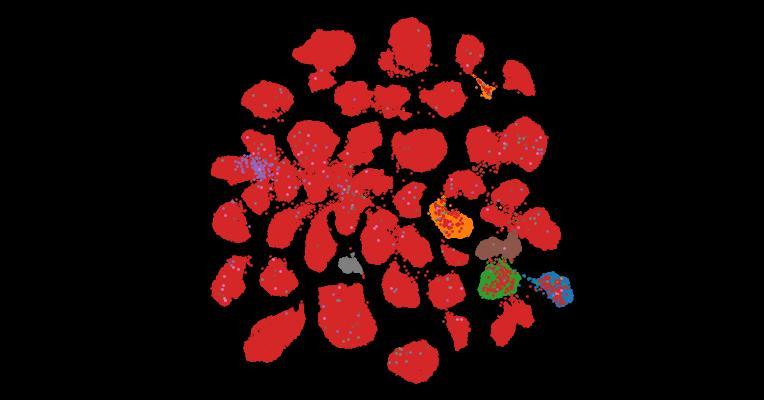 Tahoe-100M: A Giga-Scale Single-Cell Perturbation Atlas for Context-Dependent Gene Function and Cellular Modeling