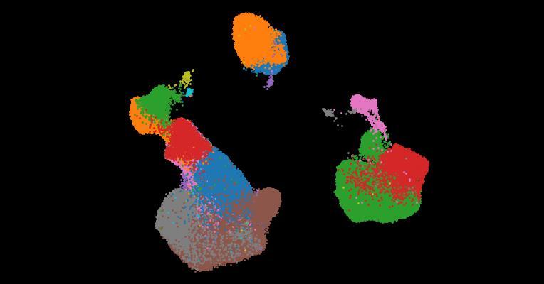 A single-cell cytokine dictionary of human peripheral blood
