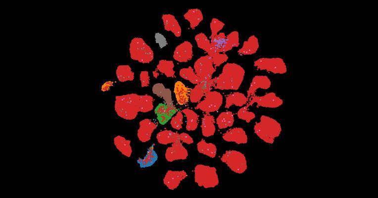 Tahoe-100M: A Giga-Scale Single-Cell Perturbation Atlas for Context-Dependent Gene Function and Cellular Modeling