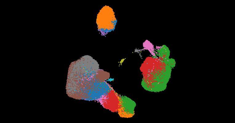 A single-cell cytokine dictionary of human peripheral blood