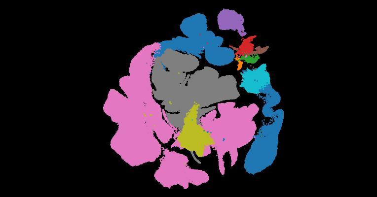Astrocyte regional specialization is shaped by postnatal development
