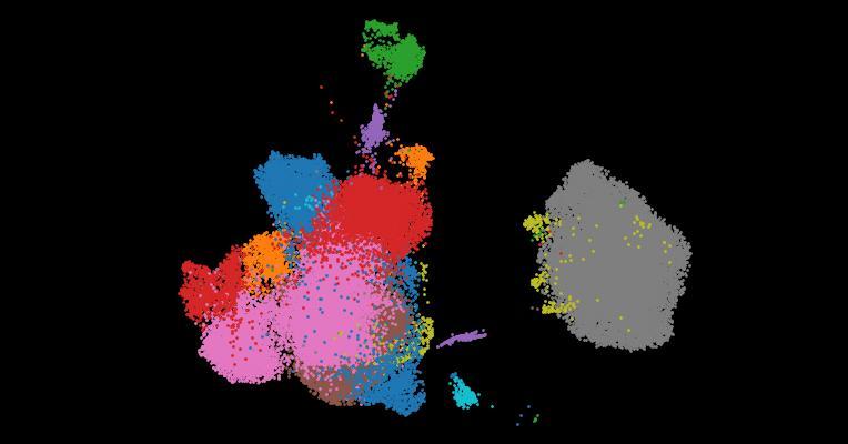 The Human Gut Cell Atlas v1.0: A Unified, Community-Built Reference of Cellular Diversity Across the Gut