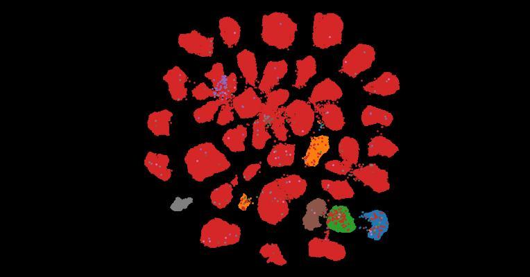 Tahoe-100M: A Giga-Scale Single-Cell Perturbation Atlas for Context-Dependent Gene Function and Cellular Modeling
