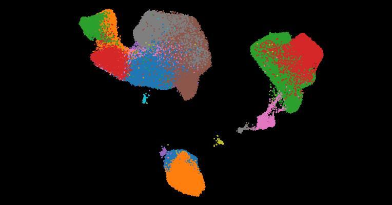 A single-cell cytokine dictionary of human peripheral blood