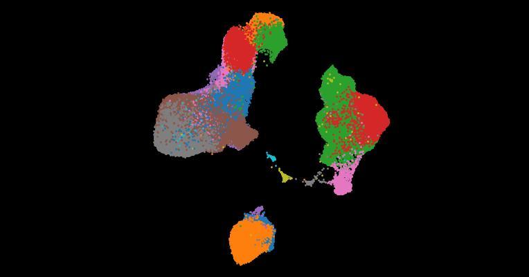 A single-cell cytokine dictionary of human peripheral blood