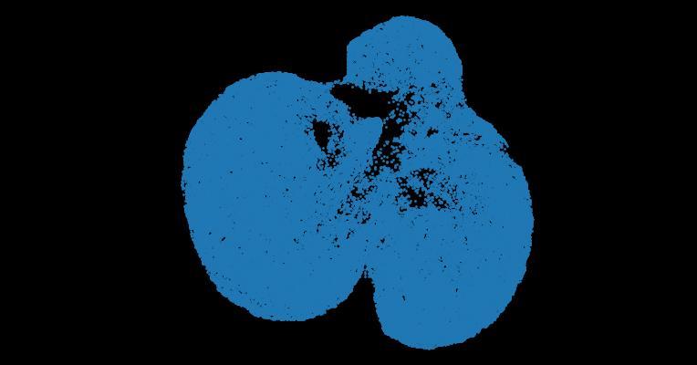 4D marmoset brain map reveals MRI and molecular signatures for onset of multiple sclerosis–like lesions