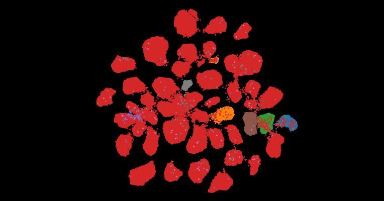 Tahoe-100M: A Giga-Scale Single-Cell Perturbation Atlas for Context-Dependent Gene Function and Cellular Modeling
