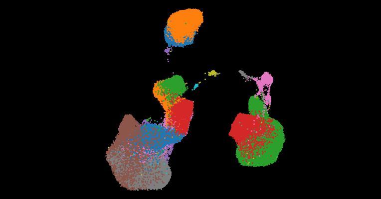 A single-cell cytokine dictionary of human peripheral blood