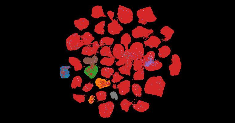 Tahoe-100M: A Giga-Scale Single-Cell Perturbation Atlas for Context-Dependent Gene Function and Cellular Modeling