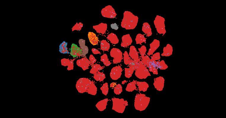 Tahoe-100M: A Giga-Scale Single-Cell Perturbation Atlas for Context-Dependent Gene Function and Cellular Modeling