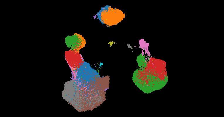 A single-cell cytokine dictionary of human peripheral blood