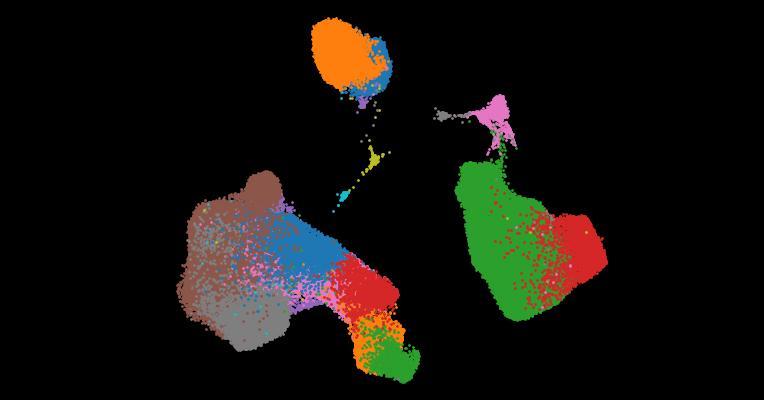A single-cell cytokine dictionary of human peripheral blood