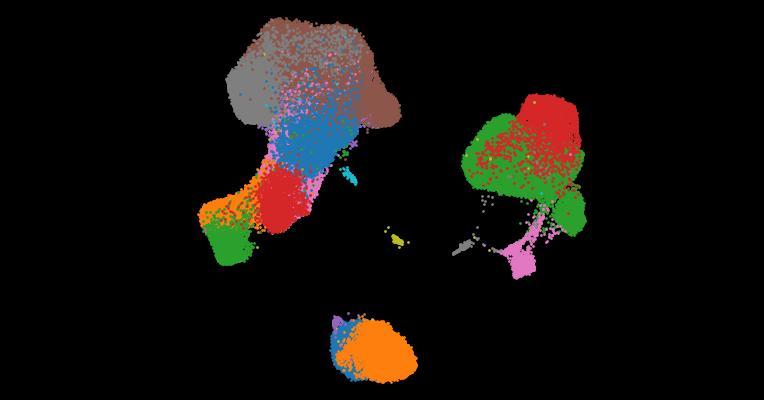 A single-cell cytokine dictionary of human peripheral blood