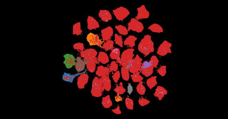 Tahoe-100M: A Giga-Scale Single-Cell Perturbation Atlas for Context-Dependent Gene Function and Cellular Modeling