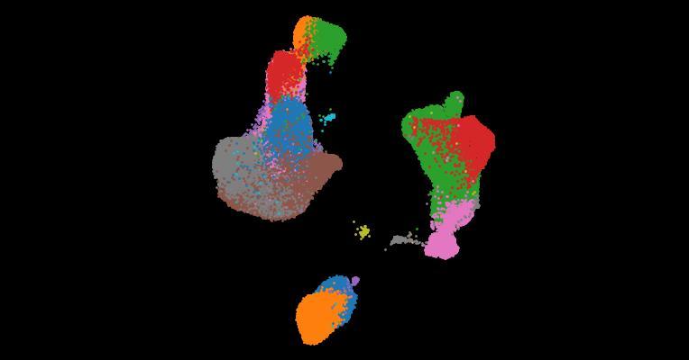 A single-cell cytokine dictionary of human peripheral blood