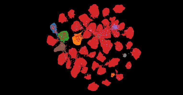 Tahoe-100M: A Giga-Scale Single-Cell Perturbation Atlas for Context-Dependent Gene Function and Cellular Modeling