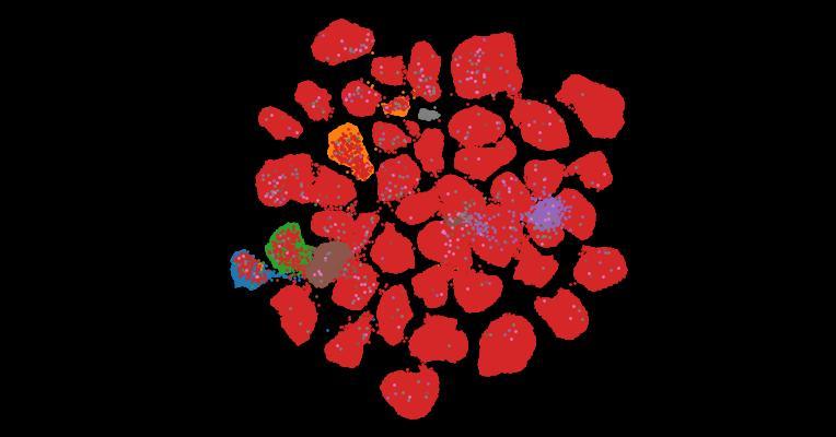 Tahoe-100M: A Giga-Scale Single-Cell Perturbation Atlas for Context-Dependent Gene Function and Cellular Modeling