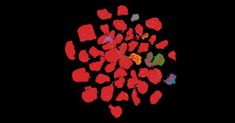 Tahoe-100M: A Giga-Scale Single-Cell Perturbation Atlas for Context-Dependent Gene Function and Cellular Modeling