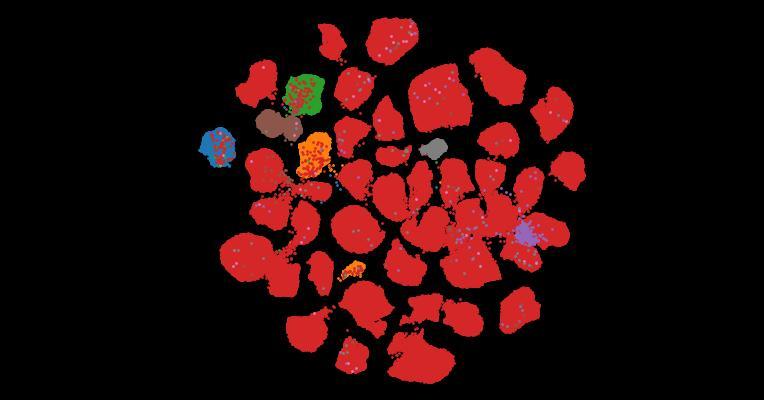 Tahoe-100M: A Giga-Scale Single-Cell Perturbation Atlas for Context-Dependent Gene Function and Cellular Modeling