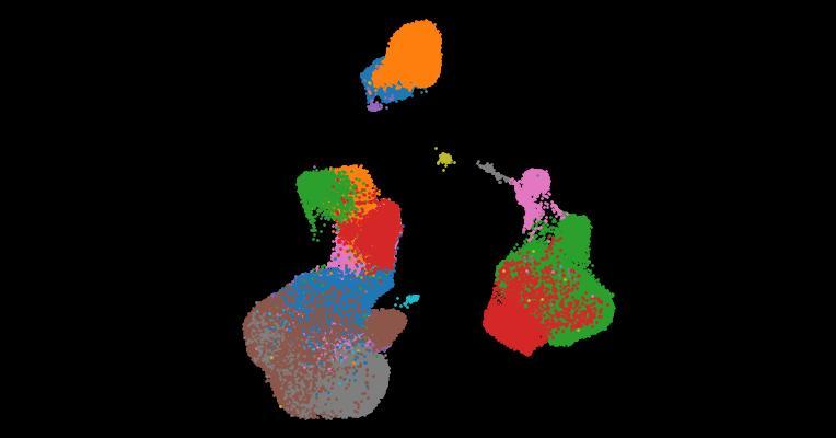A single-cell cytokine dictionary of human peripheral blood