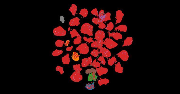 Tahoe-100M: A Giga-Scale Single-Cell Perturbation Atlas for Context-Dependent Gene Function and Cellular Modeling