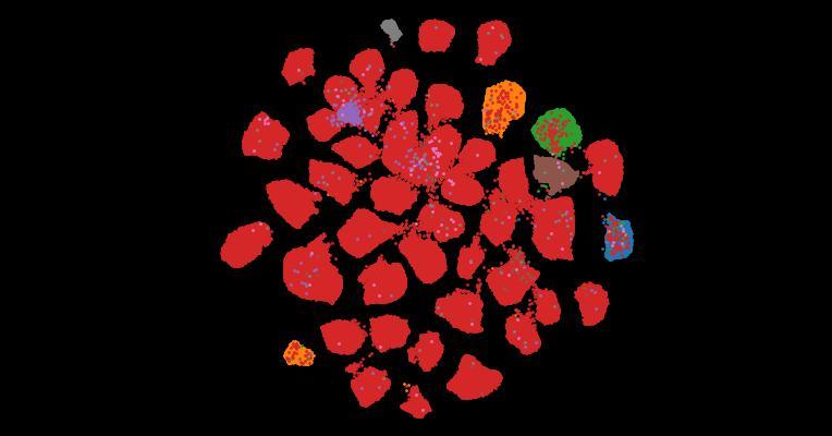 Tahoe-100M: A Giga-Scale Single-Cell Perturbation Atlas for Context-Dependent Gene Function and Cellular Modeling
