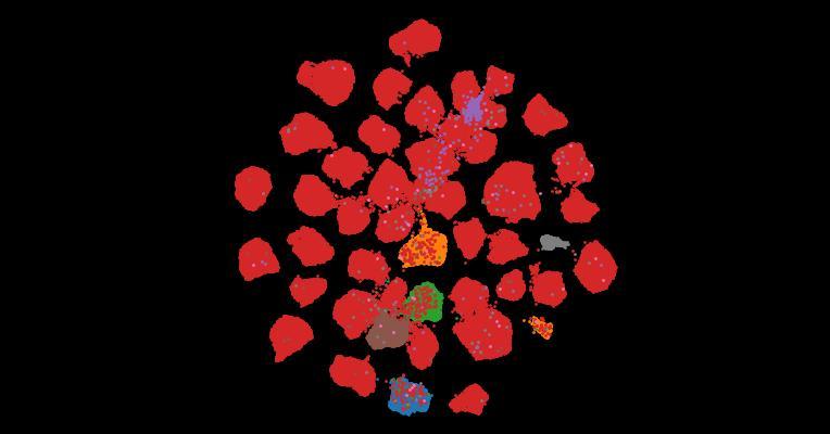Tahoe-100M: A Giga-Scale Single-Cell Perturbation Atlas for Context-Dependent Gene Function and Cellular Modeling
