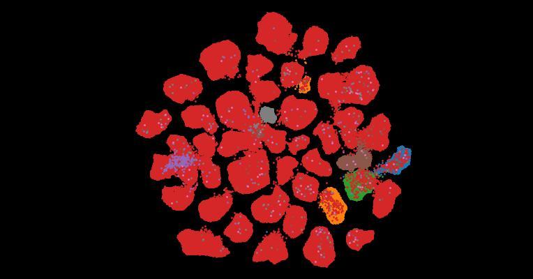 Tahoe-100M: A Giga-Scale Single-Cell Perturbation Atlas for Context-Dependent Gene Function and Cellular Modeling
