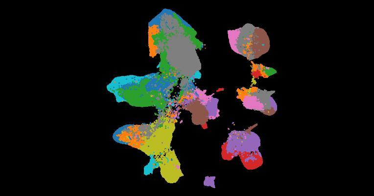 Spatially resolved human kidney multi-omics single cell atlas highlights the key role of the fibrotic microenvironment in kidney disease progression
