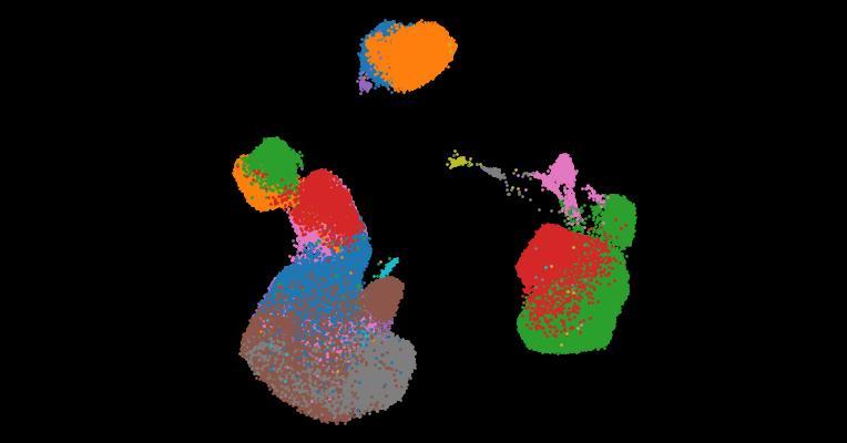 A single-cell cytokine dictionary of human peripheral blood