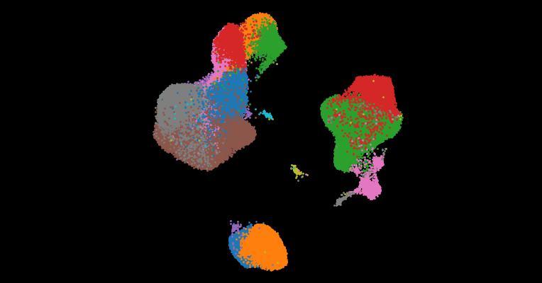 A single-cell cytokine dictionary of human peripheral blood