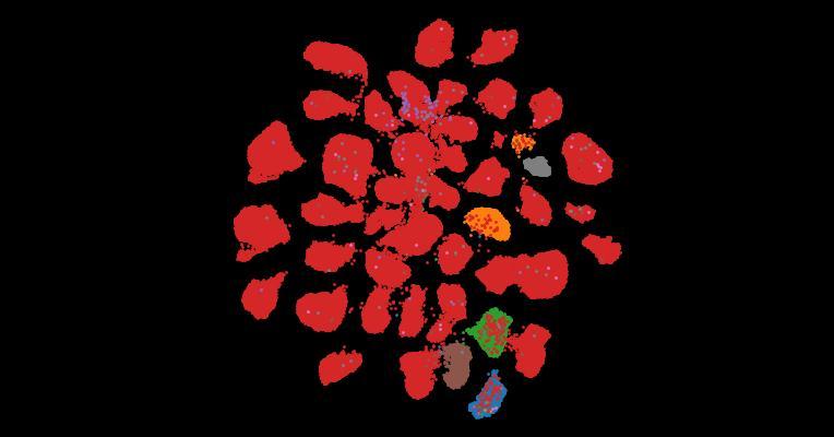 Tahoe-100M: A Giga-Scale Single-Cell Perturbation Atlas for Context-Dependent Gene Function and Cellular Modeling