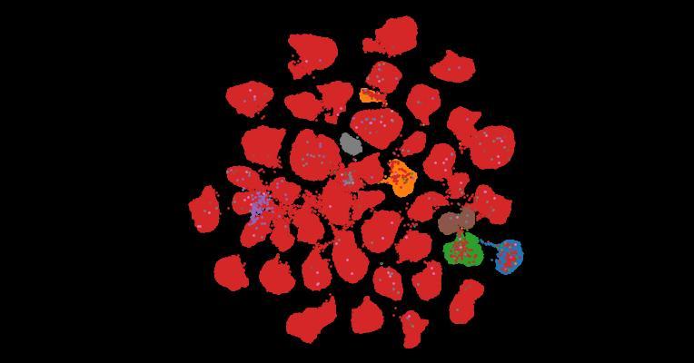 Tahoe-100M: A Giga-Scale Single-Cell Perturbation Atlas for Context-Dependent Gene Function and Cellular Modeling