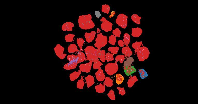 Tahoe-100M: A Giga-Scale Single-Cell Perturbation Atlas for Context-Dependent Gene Function and Cellular Modeling