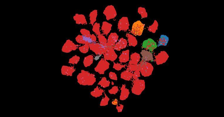 Tahoe-100M: A Giga-Scale Single-Cell Perturbation Atlas for Context-Dependent Gene Function and Cellular Modeling