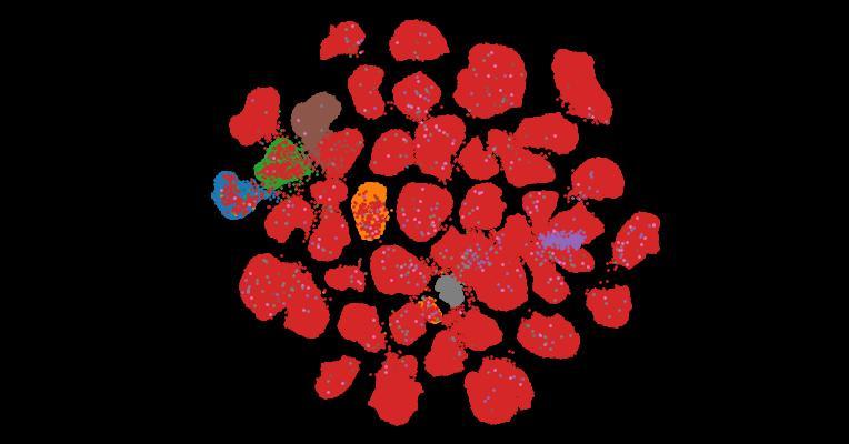 Tahoe-100M: A Giga-Scale Single-Cell Perturbation Atlas for Context-Dependent Gene Function and Cellular Modeling