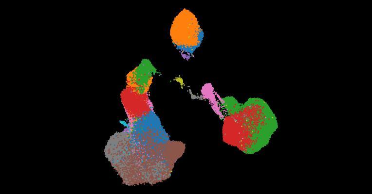 A single-cell cytokine dictionary of human peripheral blood