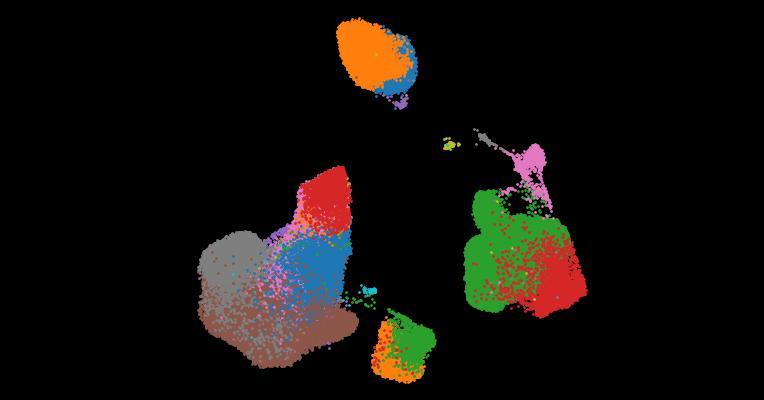 A single-cell cytokine dictionary of human peripheral blood