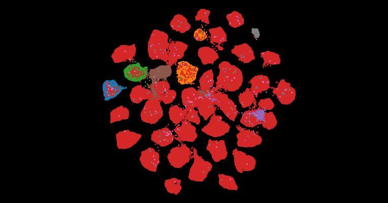 Tahoe-100M: A Giga-Scale Single-Cell Perturbation Atlas for Context-Dependent Gene Function and Cellular Modeling