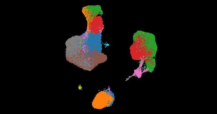 A single-cell cytokine dictionary of human peripheral blood