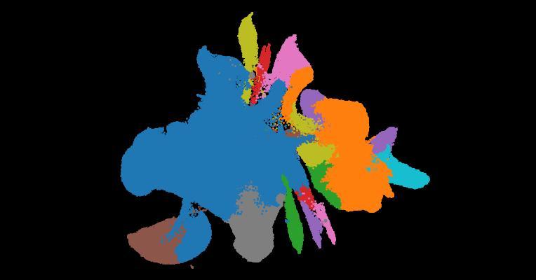 An integrated transcriptomic cell atlas of human endoderm-derived organoids
